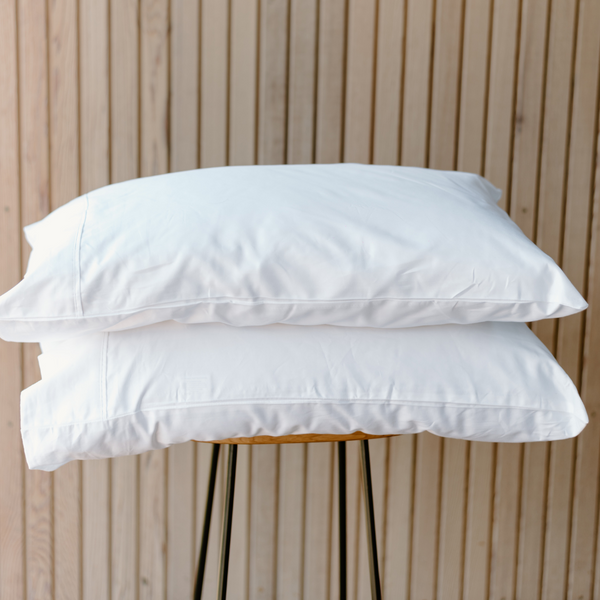 100% Silk Pillows combo deal